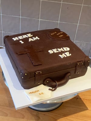 Lemon sponge suitcase